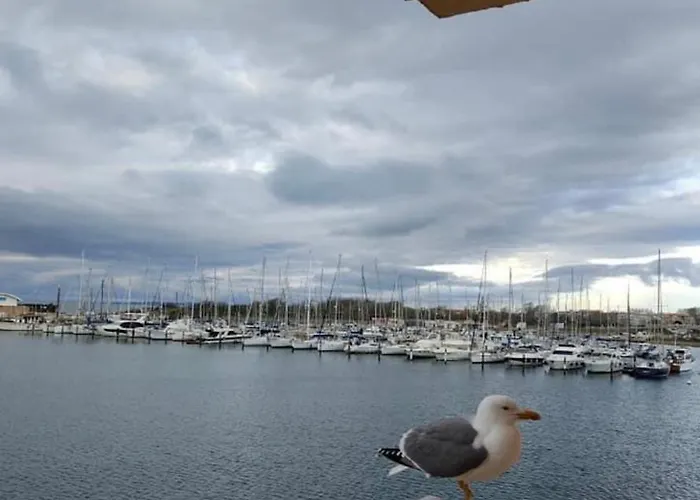 Le Panoramique Cap D'agde *
